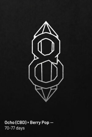 Ocho (CBD) × Berry Pop — 70–77 days