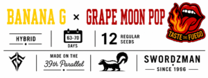 Banana G × Grape Moon Pop