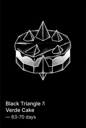 Black Triangle × Verde Cake — 63–70 days