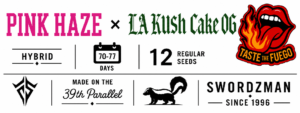 Pink Haze × LA Kush Cake OG