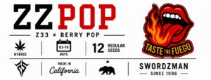 ZZPOP (Z33 × Berry Pop)
